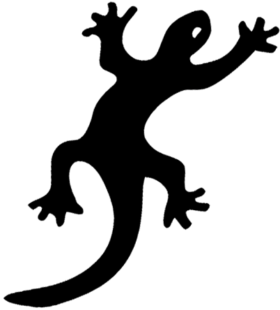 Hideaway Day Camp lizard up