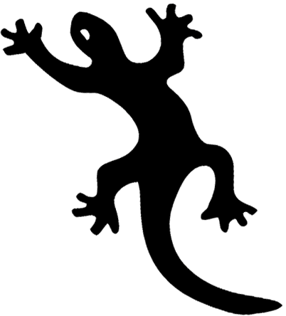 Hideaway Day Camp lizard up 2