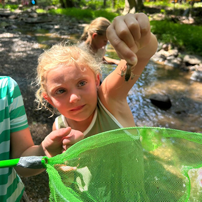Nature Study Hideaway Day Camp Collegeville PA